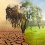Environmental Impact